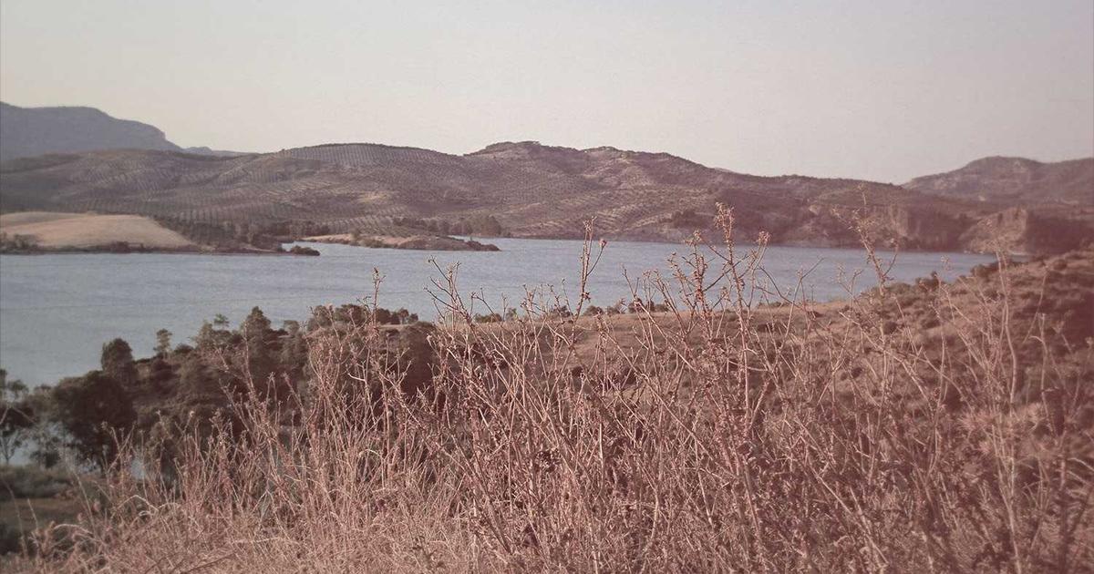 AfterEffectsのトランジションエフェクト集