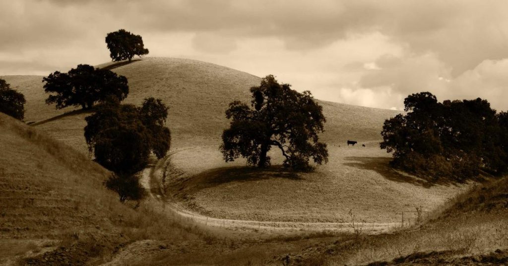 CapCutテンプレートを活用したショート動画量産