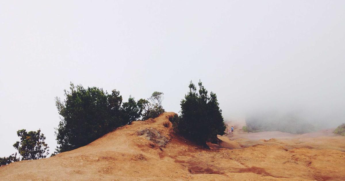 Lottieアニメーション最適化