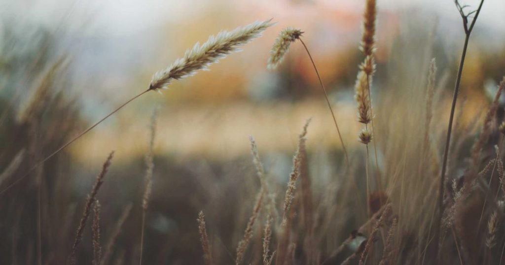 静岡県伊東市の映像クリエイターによる動画制作