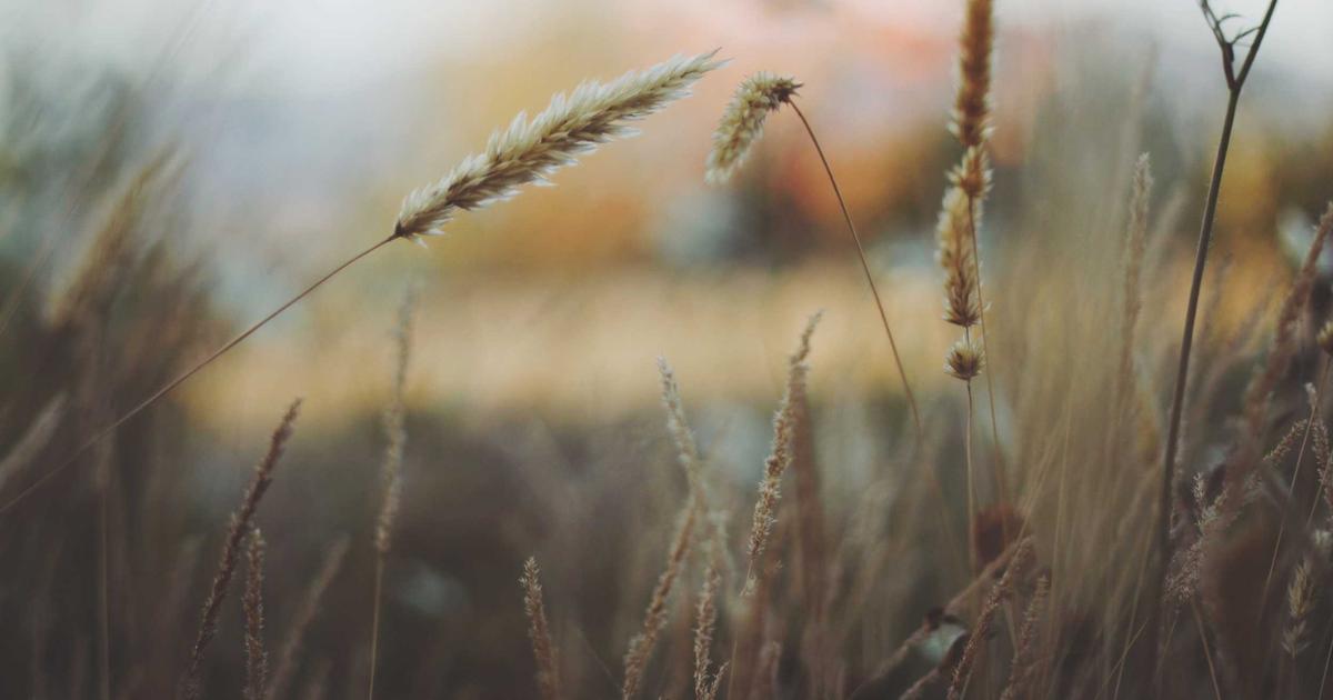 静岡県伊東市の映像クリエイターによる動画制作