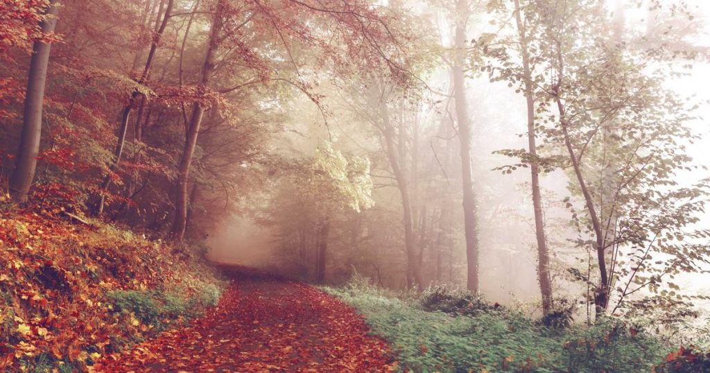 動画DX成功事例 コスト90%削減